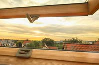 rated Cowden roof window companies